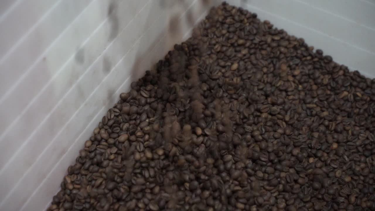 Coffee Beans in a Container