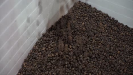 coffee beans in a container