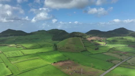 scenic craters and pastures for grazing cattle on rugged sao miguel island