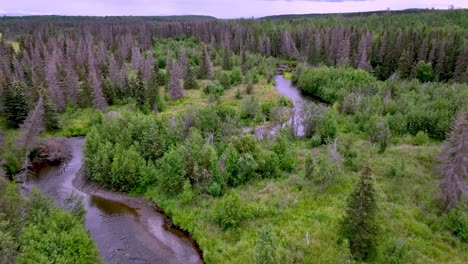 Baumkronenantenne-Der-Funny-River-In-Der-Nähe-Von-Soldotna,-Alaska