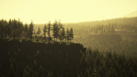 Paisaje-De-Bosque-De-Montaña-Brumoso-En-La-Mañana