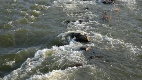 Panoramic-view-of-the-river-current.-Fixed-camera