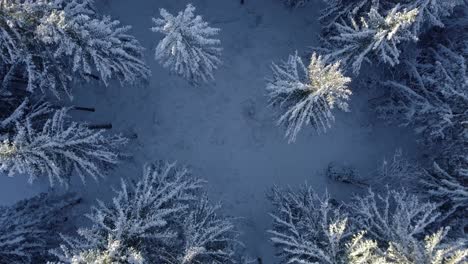 Drohnenaufnahme-Eines-Ortes-Mit-Schnee