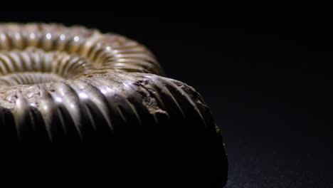 ammonite fossil gyrating with black background