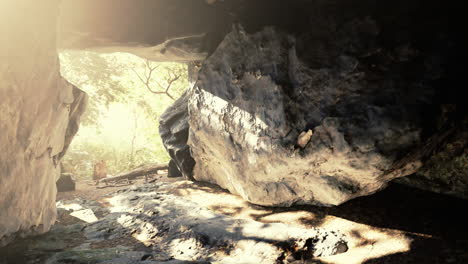 rayos de sol en una cueva de piedra