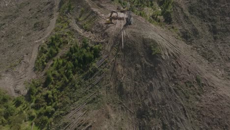 silvicultura de la línea de cable del país de la colina