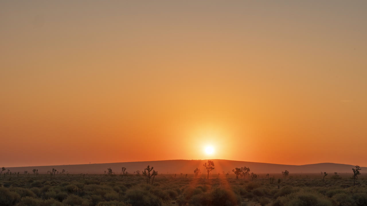 Time-lapse glorioso do nascer do sol dourado sobre a paisagem calma do Deserto de Mojave e da floresta de árvores Josué