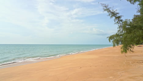 deserted beach in exotic location. slow-motion panning
