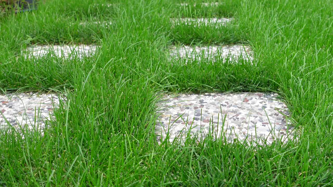 sendero de jardín con hierba