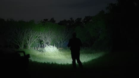 Rudel-Hunde-Auf-Such--Und-Rettungsjagdmission,-Beleuchtet-Von-Der-Taschenlampe-Des-Jägers-In-Pechschwarzer-Dunkelheit