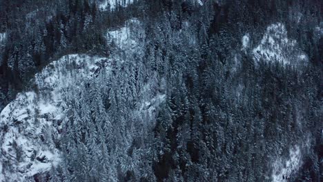 Aerial-view-over-Snowy-Mountain-Slope-and-tilts-up-to-see-Peak