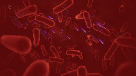 animación de senderos púrpuras sobre células en movimiento sobre fondo rojo