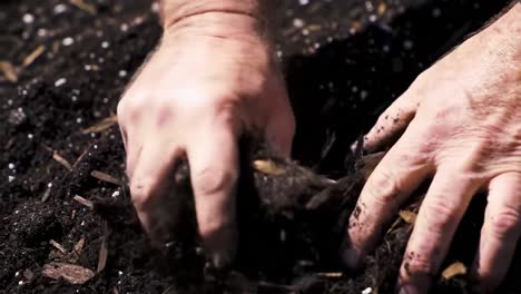 hands engaged in soil preparation, demonstrating the connection and care required for cultivating healthy plants and gardening success
