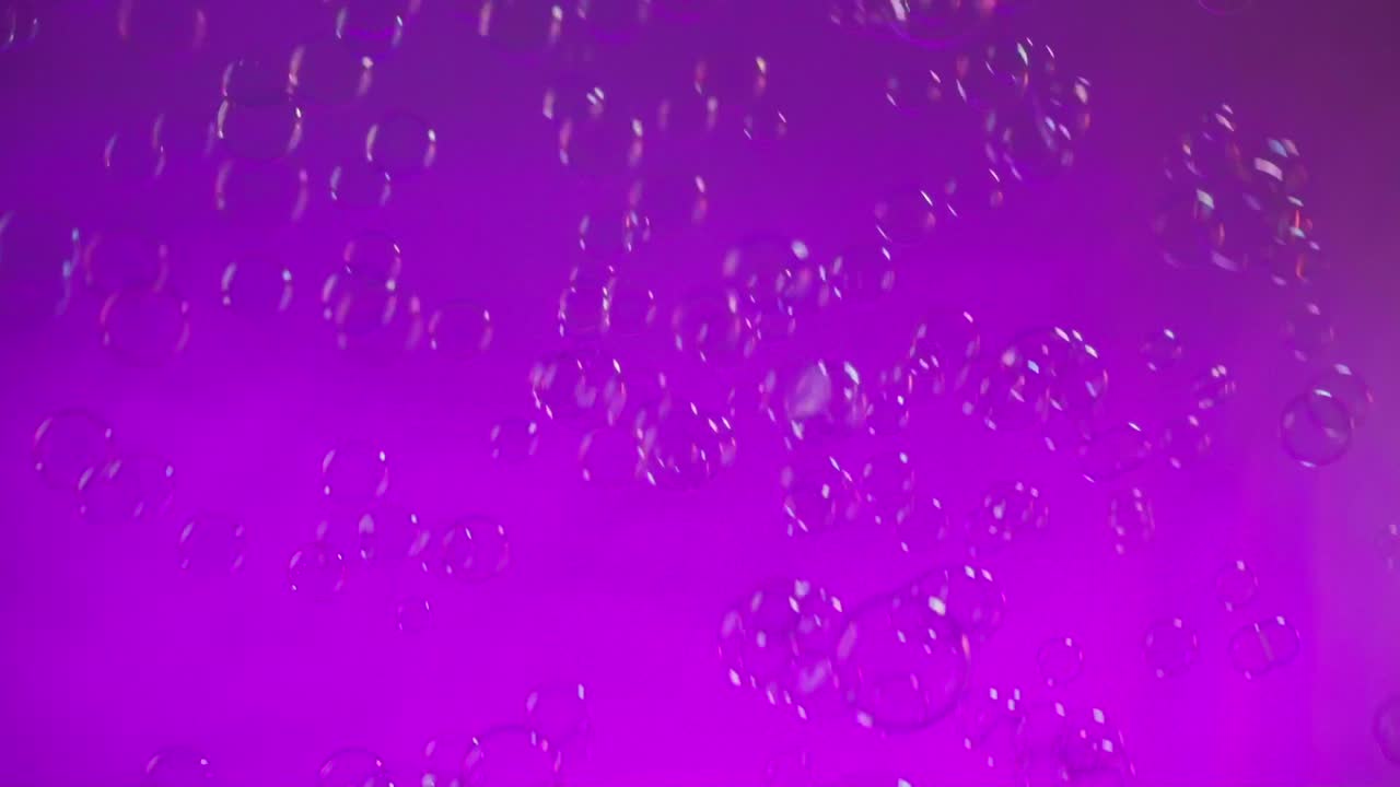 Floating bubbles rise in pink liquid, abstract and calm, titled "Burbujas"