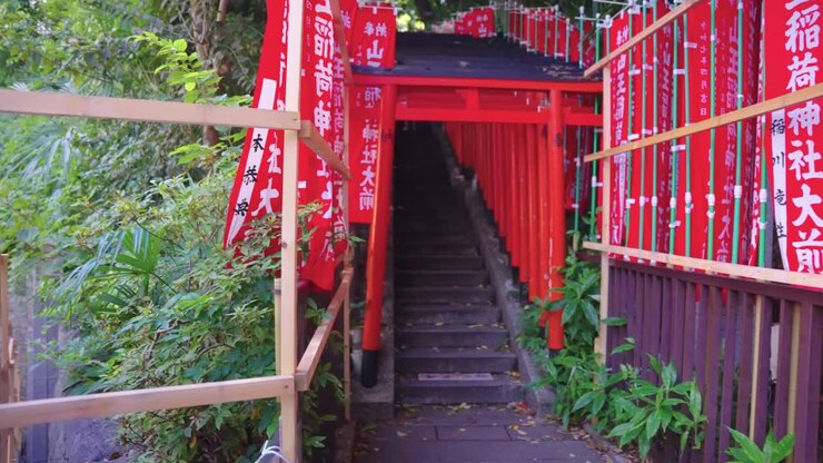 Sentiero del Torii nel Santuario Hei, Tokyo, Giappone.