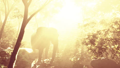 Zeitlupenansicht-Eines-Elefanten-Im-Sonnenlicht