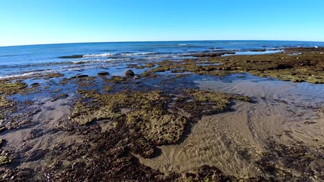 close-up pan of low tide and tide pools along the gulf of california, mexico