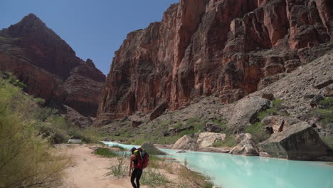 hiker in oasis of grand canyon national park, hopi salt hiking trail, turquoise little colorado river water, slow motion