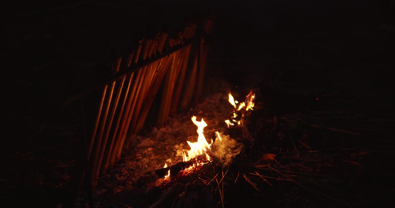 Traditional bamboo sticky rice cooking over an open fire, representing local food preparation and outdoor rural lifestyle.
