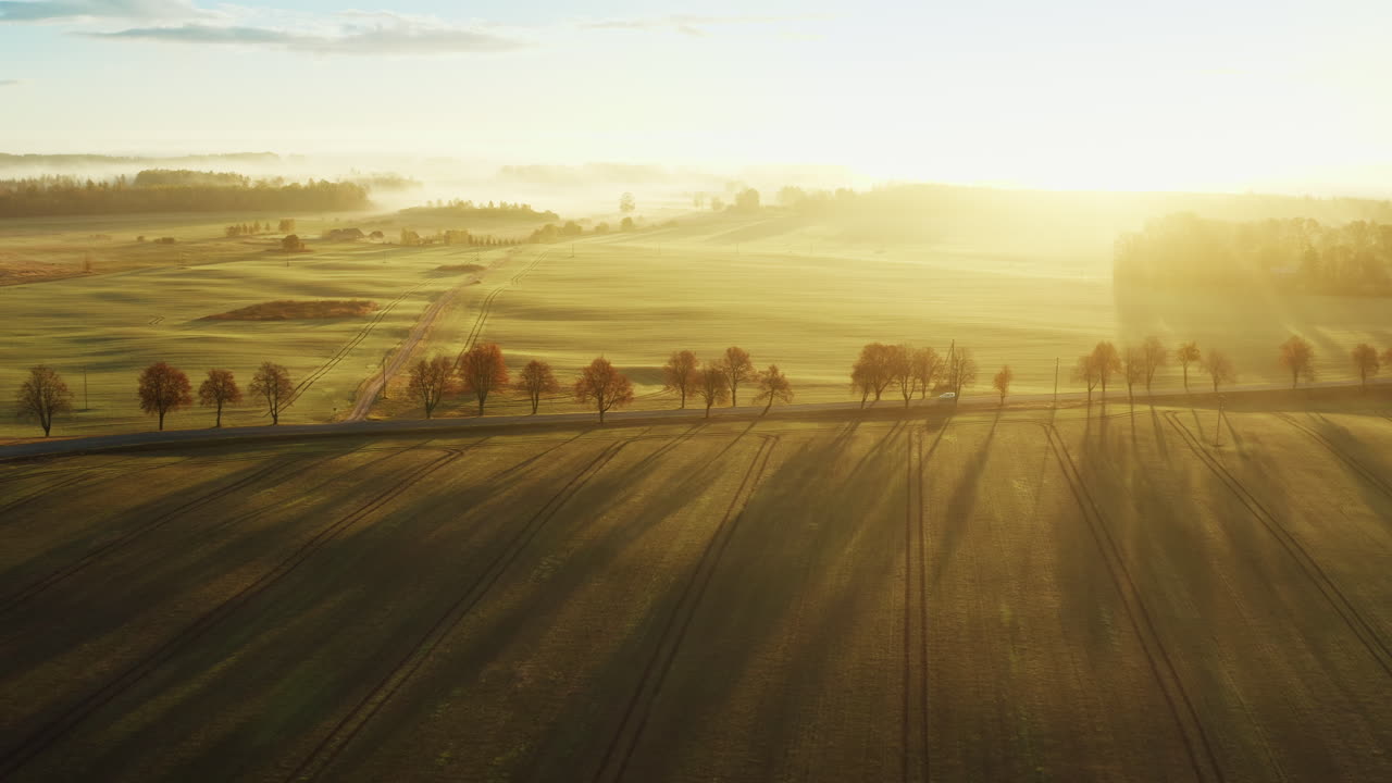 A car driving through bright golden fields in autumn
