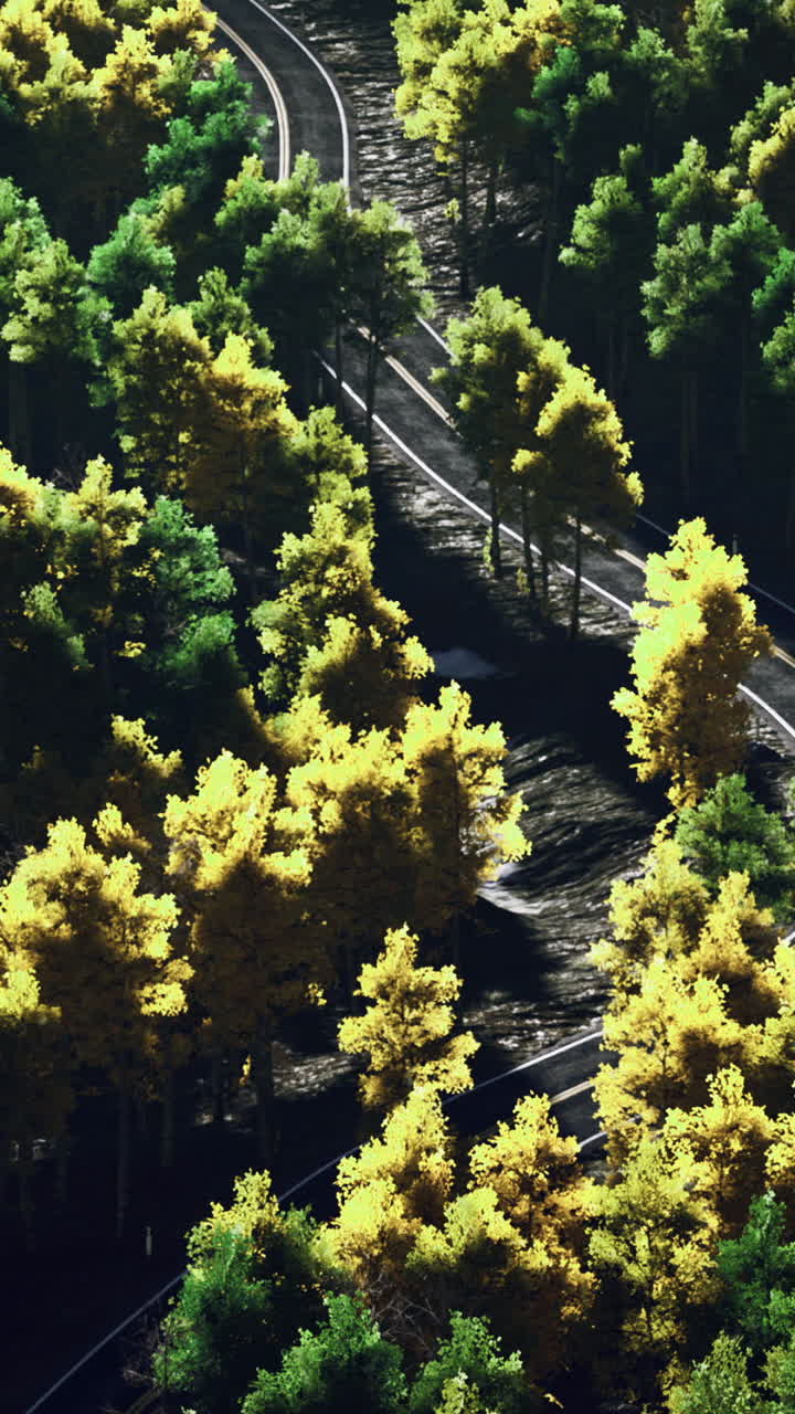Scenic winding road through vibrant green and yellow forest landscape