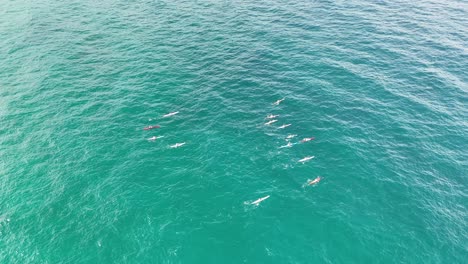 los socorristas practican técnicas de rescate en aguas oceánicas
