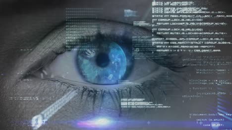 animazione dell'elaborazione dei dati e codifica binaria sull'occhio blu