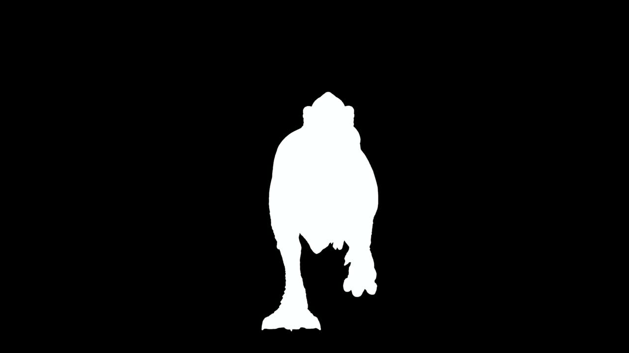 Tyrannosaurus Rex saldırı halinde.