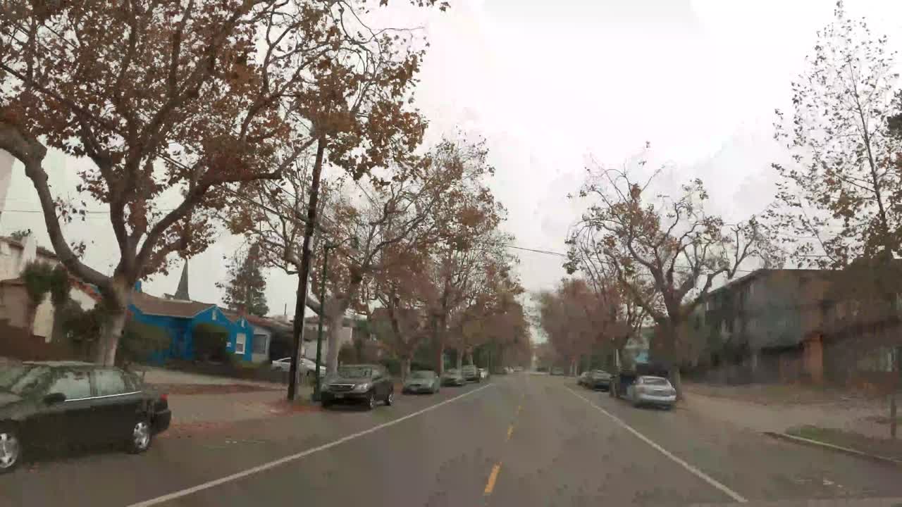 A short drive in a local neighborhood of high density population.