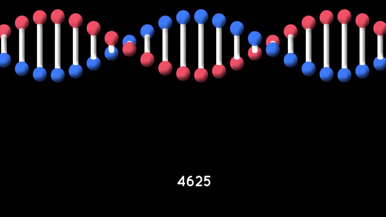 검은 바탕에 dna 구조를 회전시키는 증가하는 숫자의 디지털 애니메이션