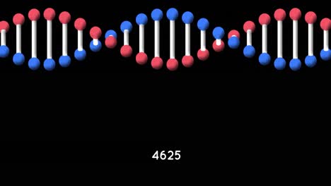 Digital-animation-of-increasing-numbers-over-dna-structure-spinning-against-black-background