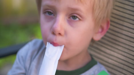 un lindo niño rubio disfrutando de un helado en un caluroso día de verano