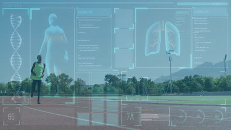 medical data and human anatomy animation over outdoor sports track background