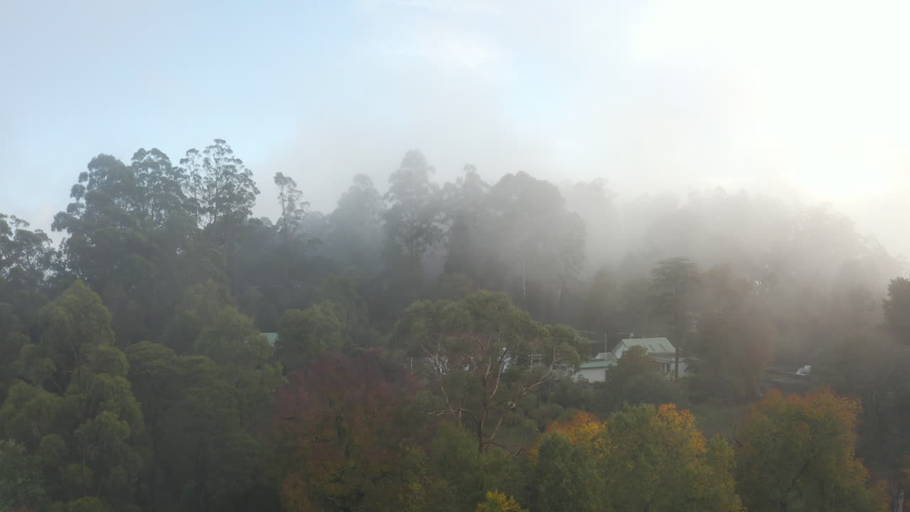 작은 마을 보육원에 걸려있는 짙은 안개