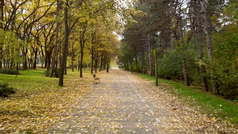 walkway in st