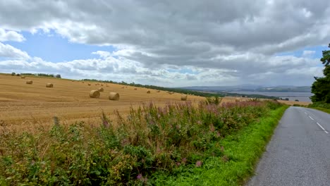 a moving camera travels down a quiet country road bordered by wildflowers and harvested hay fields under a cloudy sky, capturing a tranquil rural landscape