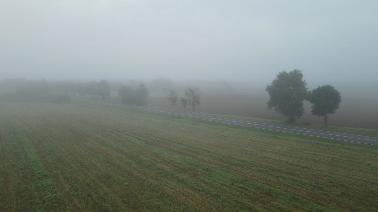 가을에 시골 도로에서 운전하는 차를 보여주는 안개 속의 농장 들판에 대한 조감도