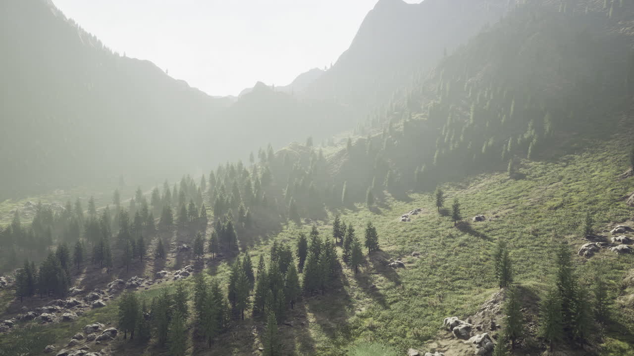 Natures tranquil embrace in a misty mountainous landscape at dawn