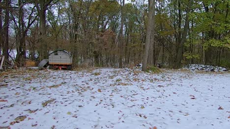 POV-from-rear-of-off-road-vehicle-ATV-while-driving-through-a-yard-and-on-a-snow-covered-trail-through-the-woods-on-an-early-winter-afternoon