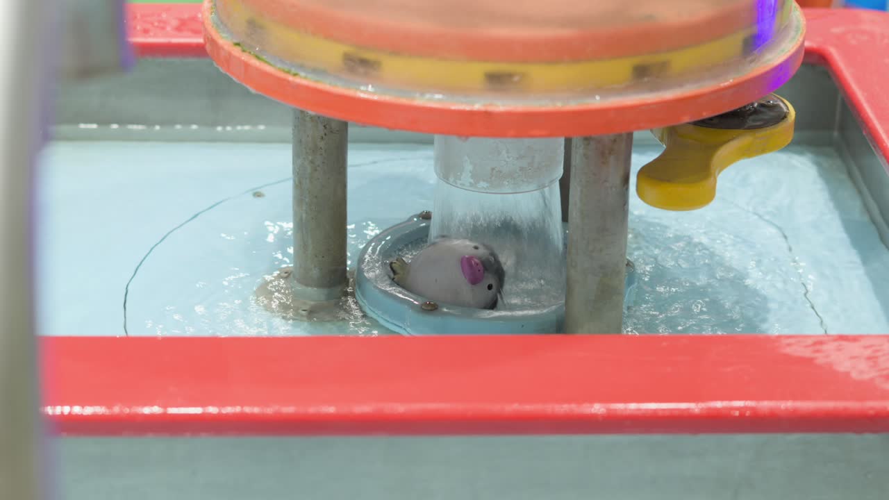 indore water gaming zone for kids closeup view