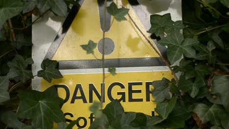 hidden danger yellow sign partly hidden by ivy