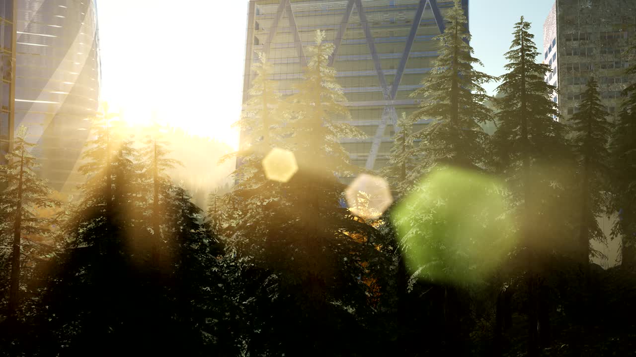 일몰 에 숲 과 초고층 건물 들