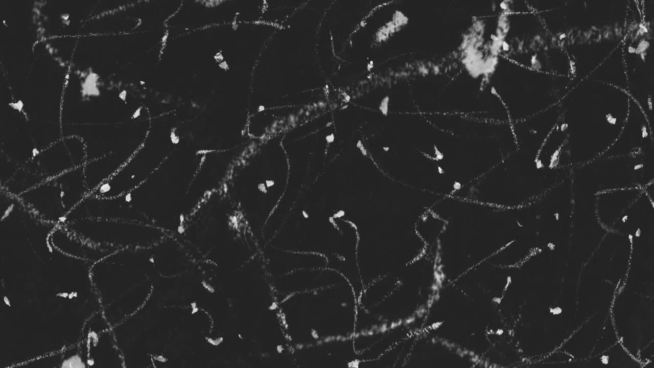 animación superpuesta de fondo con líneas de lápiz de color garabateadas, línea de partículas superpuesta en blanco y negro, grabado y puntos