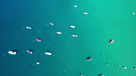 vista superior aérea de muchos barcos amarrados en aguas cristalinas en el lago tahoe