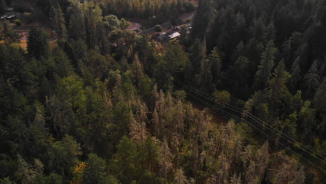 oregon countryside aerial of a suburban neighborhood