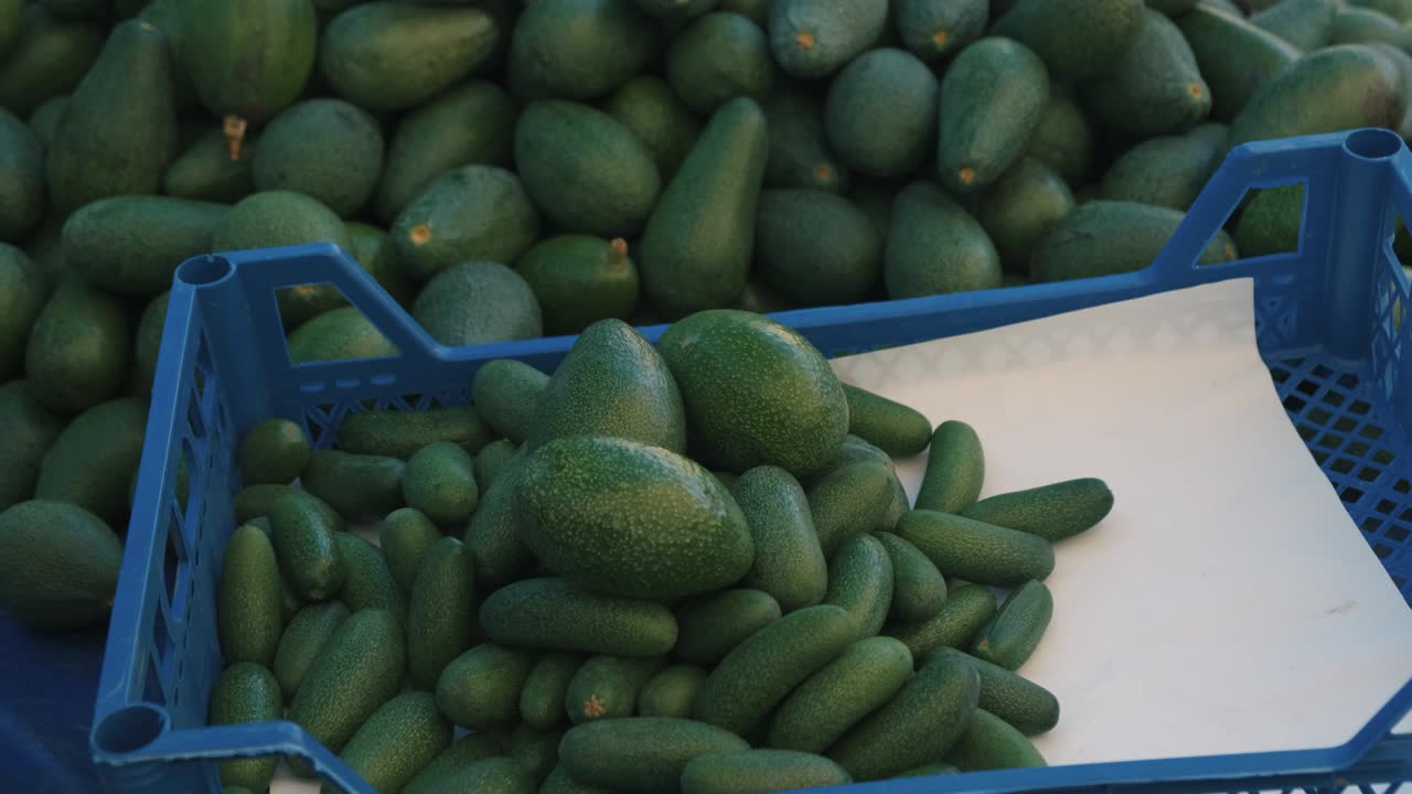 슈퍼마켓에서 아보카도를 선택하는 것