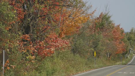 Herbstliche-Waldbäume-Entlang-Der-Landstraße-In-Den-Badlands-Von-Cheltenham-Bei-Tageslicht-In-Caledon,-Ontario,-Kanada
