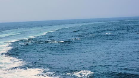 Watching-Atlantic-White-sided-Dolphins-Swimming-Together-In-The-Ocean-During-Vacation-Trip