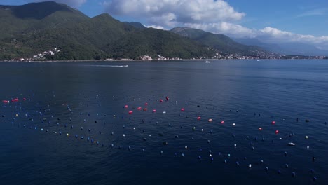 Vista-Aérea-De-Boyas-De-Pesca-En-Aguas-Azules-De-La-Bahía-De-Kotor,-Montenegro