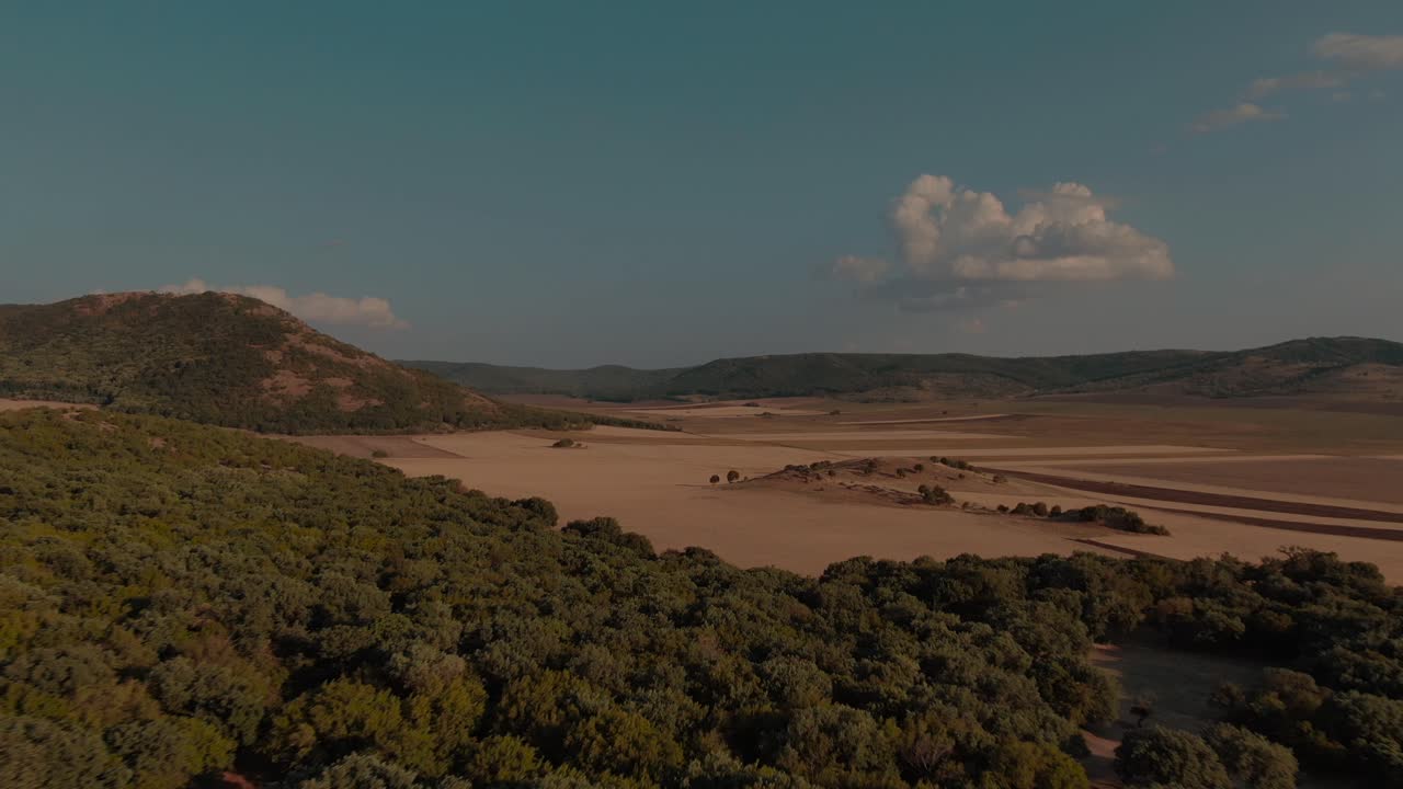 마른 잔디가 있는 평원을 향해 날아가는 녹색 숲 위로 공중 하강 드론 샷, 색상 등급